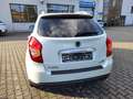 SsangYong Korando Korando 2.0 e-XGi200 4WD Automatik Sapphire Weiß - thumbnail 4