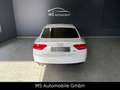 Audi A5 Sportback 3.0 TDI quattro S-Line, S-Dach, ACC Weiß - thumbnail 5