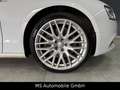 Audi A5 Sportback 3.0 TDI quattro S-Line, S-Dach, ACC Weiß - thumbnail 10