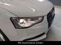 Audi A5 Sportback 3.0 TDI quattro S-Line, S-Dach, ACC Weiß - thumbnail 9