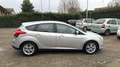 Ford Focus 5p 1.6 tdci Individual 115cv - thumbnail 10