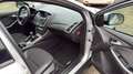 Ford Focus 5p 1.6 tdci Individual 115cv - thumbnail 16