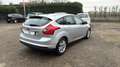 Ford Focus 5p 1.6 tdci Individual 115cv - thumbnail 8