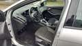 Ford Focus 5p 1.6 tdci Individual 115cv - thumbnail 14