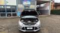Ford Focus 5p 1.6 tdci Individual 115cv - thumbnail 19
