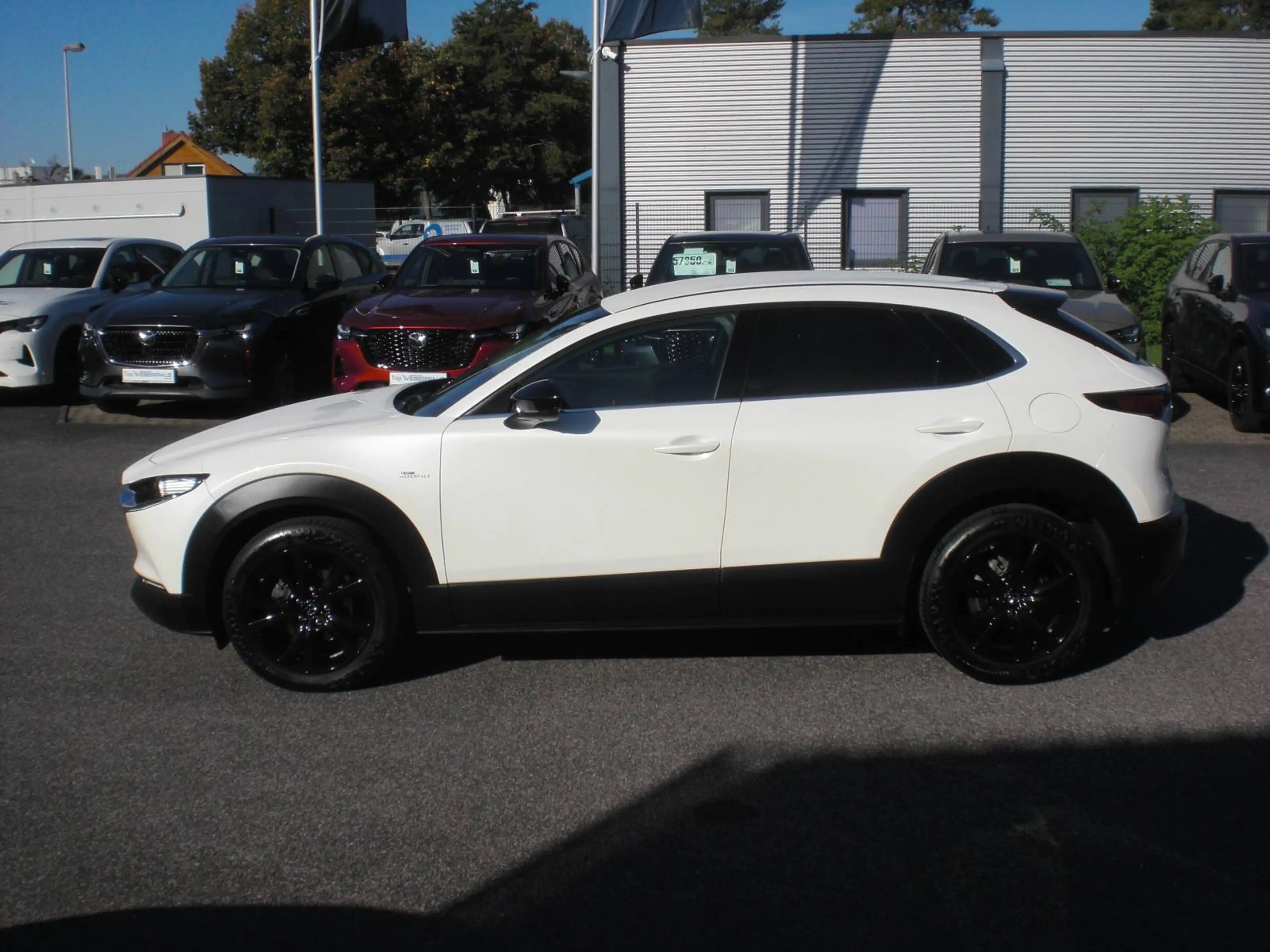 Mazda CX-30 Homura 2WD* LED*Navi*Radar* — photo 8