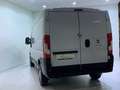Fiat Ducato 35 MH1 3.0 CNG 136 CV 4P Blanco - thumbnail 4