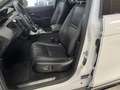 Land Rover Range Rover Evoque 1.5 i3 phev R-Dynamic HSE awd auto P300e Bianco - thumbnail 11