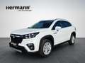Suzuki S-Cross 1,4 Hybrid ALLGRIP shine Weiß - thumbnail 1