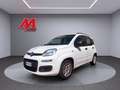Fiat Panda Panda 1.3 mjt 16v Easy 75cv DAVIDE 351 7028453 Bianco - thumbnail 3
