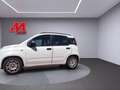 Fiat Panda Panda 1.3 mjt 16v Easy 75cv DAVIDE 351 7028453 Bianco - thumbnail 2