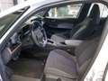 CUPRA Born *NAVI*KAM*SHZ*18Zoll*ACC*Keyless*62kWh* Weiß - thumbnail 8