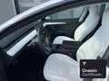 Tesla Model 3 Rear-Wheel Drive Blanco - thumbnail 26