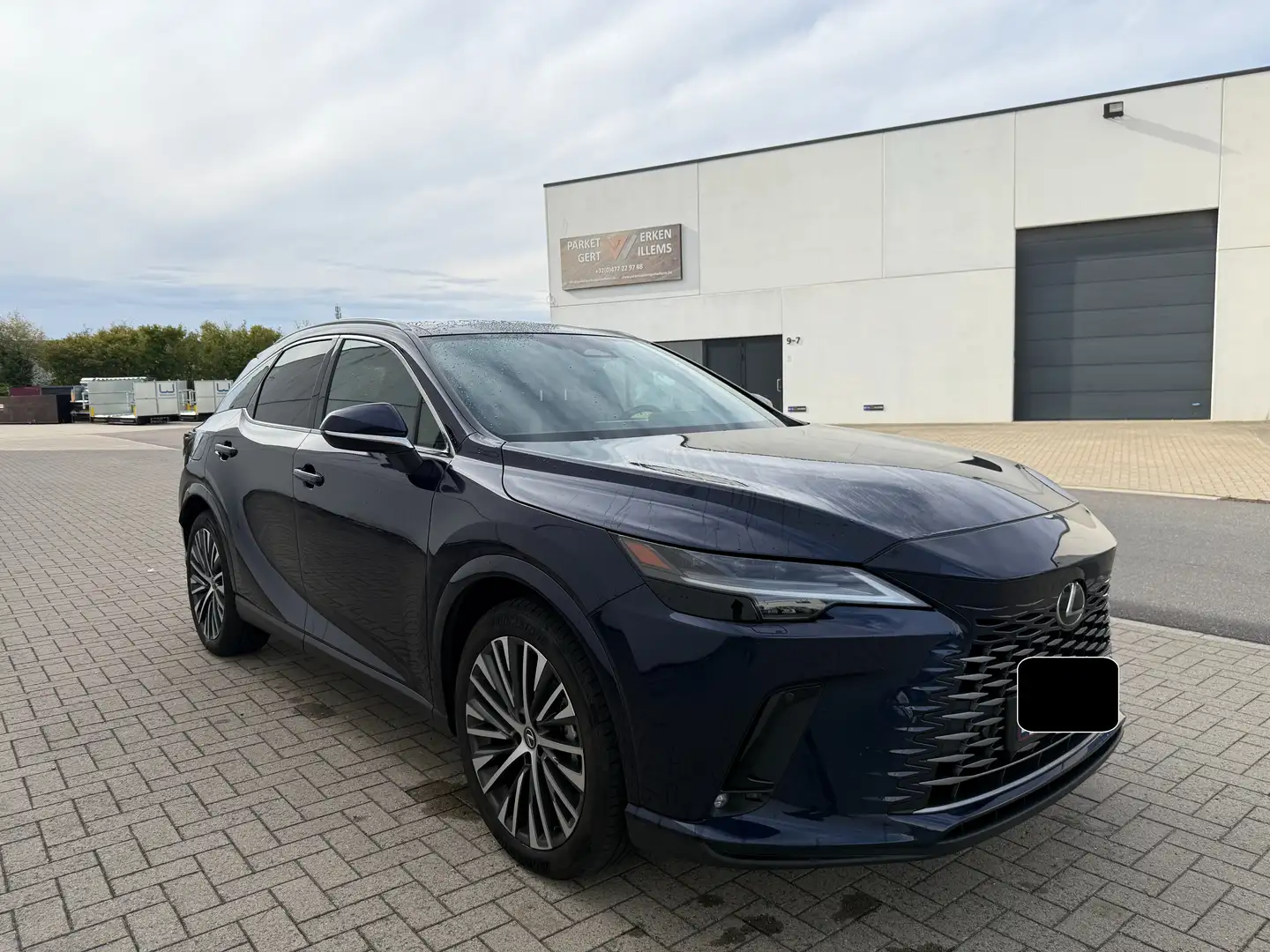 Lexus RX 450h RX 450h+ (Plug-in-Hybrid) Luxury Line Bleu - 1