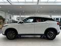 DFSK 3 52kWh [ DEALER I 360 CAMERA I CLIMATE CONTROL & Bianco - thumbnail 7