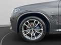 BMW X4 M 40i Anhängerk. Harman/Kardon Driving+Parkassist Grau - thumbnail 11