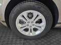 Land Rover Range Rover Evoque RANGE EVOQUE 2.0 D i4 Mhev AWD 163 CV Automatica Beige - thumbnail 15