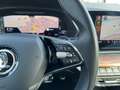 Skoda Octavia Combi Scout 2,0 TDI 4x4 DSG | AHK Grau - thumbnail 44