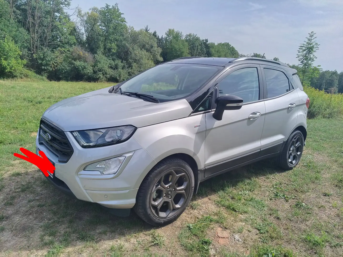 Ford EcoSport EcoSport 1,0 EcoBoost ST-Line ST-Line Silber - 1