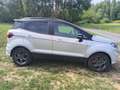Ford EcoSport EcoSport 1,0 EcoBoost ST-Line ST-Line Silber - thumbnail 6
