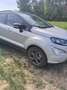 Ford EcoSport EcoSport 1,0 EcoBoost ST-Line ST-Line Silber - thumbnail 7