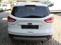 Ford Kuga Titanium Wit - thumbnail 7