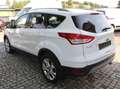 Ford Kuga Titanium Wit - thumbnail 9