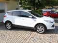 Ford Kuga Titanium Wit - thumbnail 5