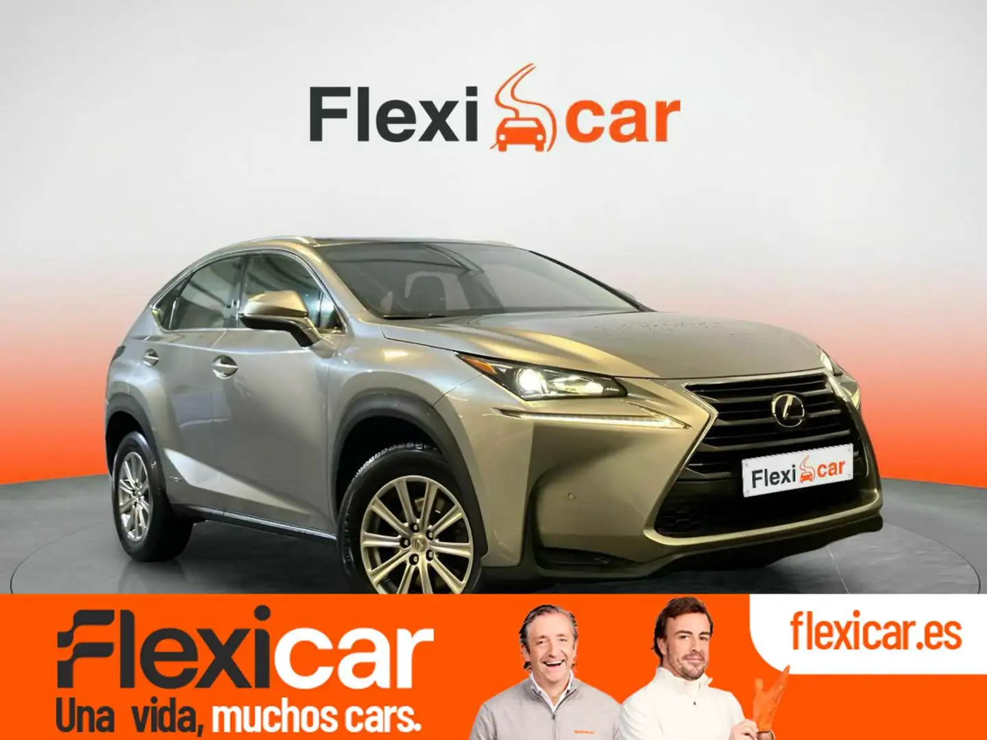 Lexus NX 300h 2.5 Corporate 2WD Gris - 1
