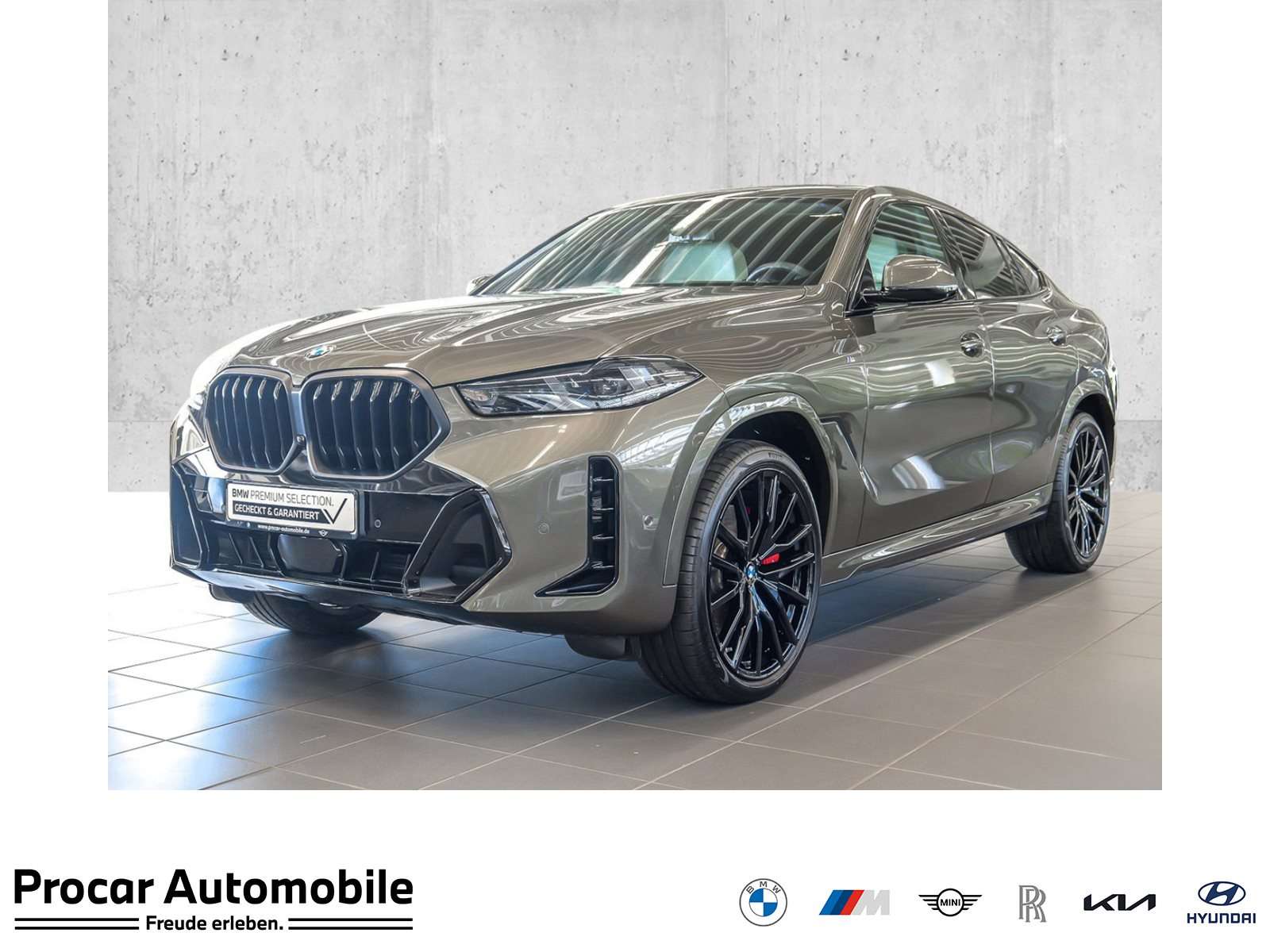 2025 BMW X6