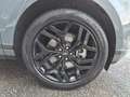 Land Rover Range Rover Evoque Evoque 2.0D I4 163 CV AWD Auto SE Approved 24 Mesi Gris - thumbnail 24