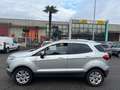 Ford EcoSport 1.0 EcoBoost 125 CV Zilver - thumbnail 7