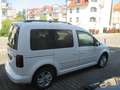 Volkswagen Caddy 2.0 TDI (5-Si.) DSG Comfortline Weiß - thumbnail 4