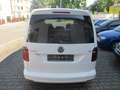 Volkswagen Caddy 2.0 TDI (5-Si.) DSG Comfortline Weiß - thumbnail 3
