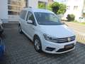 Volkswagen Caddy 2.0 TDI (5-Si.) DSG Comfortline Weiß - thumbnail 5