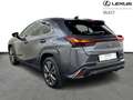 Lexus UX 250h F-Sport Design Schwarz - thumbnail 2