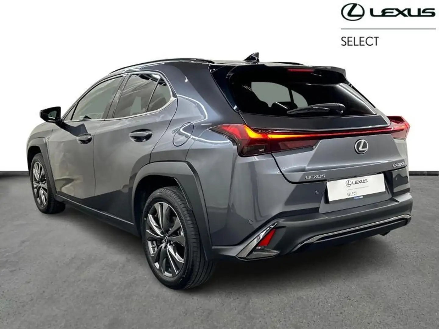 Lexus UX 250h F-Sport Design Schwarz - 2