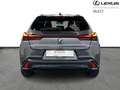Lexus UX 250h F-Sport Design Schwarz - thumbnail 4