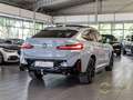 BMW X4 20i M Sport Inno HK AHK HUD TARTUFO Pano Grau - thumbnail 9