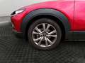 Mazda CX-30 2.5 E-SKYACTIV-G MHEV CENTRE-LINE 5P Rojo - thumbnail 10