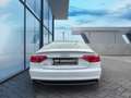 Audi A5 Sportback 2.0 TDI 3xLine,LED,Navi White - thumbnail 6