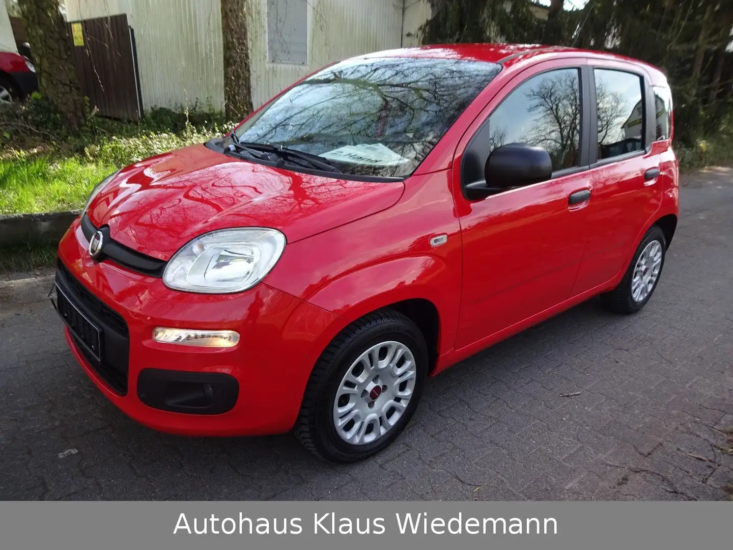 Fiat New Panda 1.2 8V EASY - 2.Hd./13 TKM Roşu - 1