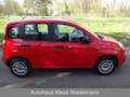 Fiat New Panda 1.2 8V EASY - 2.Hd./13 TKM Roşu - thumbnail 7