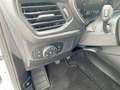 Ford Focus Turnier Cool & Connect 1.0 TEMP LED SHZ Blanco - thumbnail 17