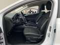 Ford Focus Turnier Cool & Connect 1.0 TEMP LED SHZ Blanc - thumbnail 7