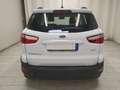 Ford EcoSport 1.5 ecoblue Plus s&s 100cv my19 Blanco - thumbnail 5