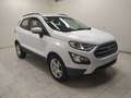 Ford EcoSport 1.5 ecoblue Plus s&s 100cv my19 Wit - thumbnail 3