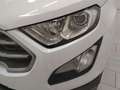 Ford EcoSport 1.5 ecoblue Plus s&s 100cv my19 Blanc - thumbnail 12