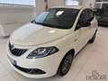 Lancia Ypsilon Ypsilon 1.2 69 CV 5 porte GPL Ecochic GOLD Weiß - thumbnail 13