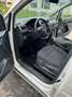 Volkswagen Caddy 1.4 TSI Alltrack Blanc - thumbnail 9